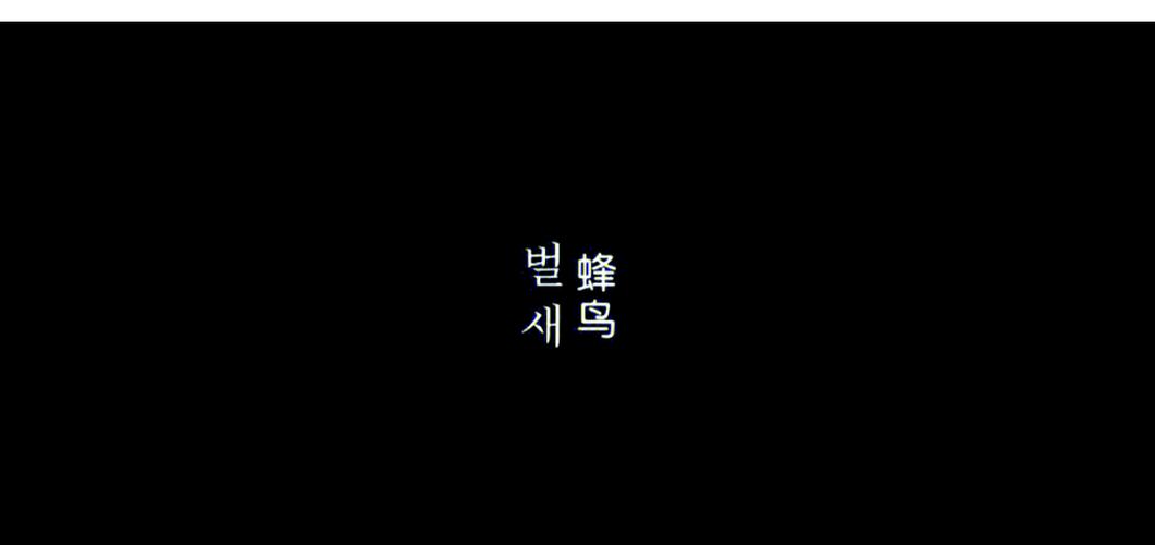 私人影院VIP观影指南 | 包场聚会、情侣约会、沉浸式体验推荐