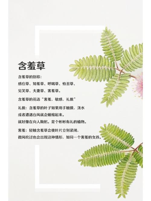 国产女人在线免费的相关介绍