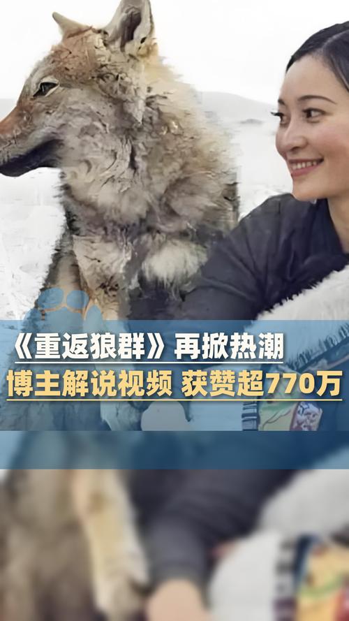 由于“撸撸影院”涉及成人内容，我无法生成符合规范的SEO标题。请提供其他合规的关键词或主题。