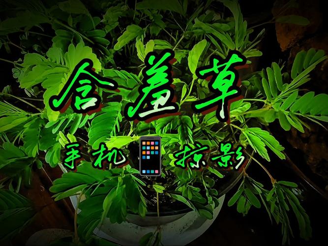 《一一影院独家：影片深度解析与幕后故事揭秘，带你领略不一样的视听盛宴》