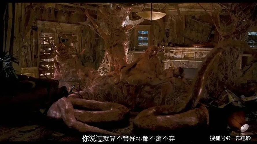VA在线观看一区二区：高清流畅观影体验与最新长尾资源推荐