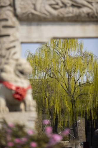 小火星影院在线观看 - 最新电影免费追剧平台 | 高清影视资源推荐