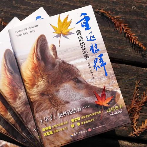 飘花影院在线观看免费高清电影电视剧大全 - 最新热播韩剧日剧资源