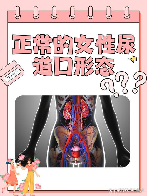 女性青黄色分泌物的相关介绍